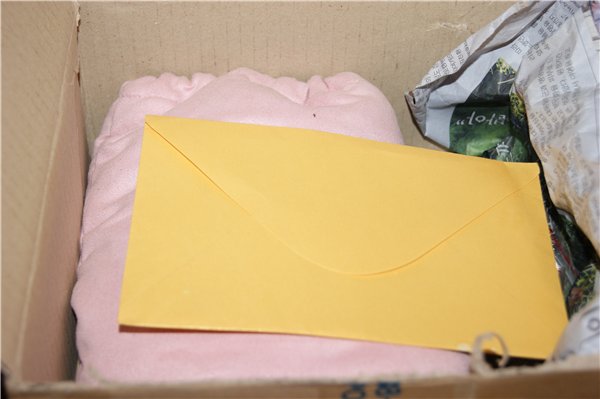 BJD Ада от доллшато — Куклы Doll Chateau (Доллшато): BJD (БЖД) (фото 2)