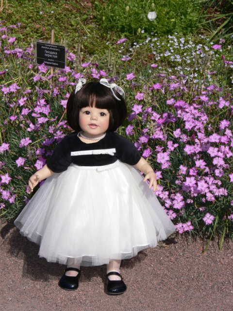 Прогулка в Ботаническом саду Санкт Петербурга. Часть 3. Садовая клумба (фото 8)