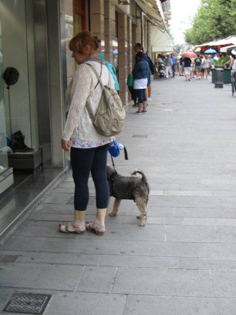 "Моя Италия". Часть 3 - Виареджо, Лукка, Пиза