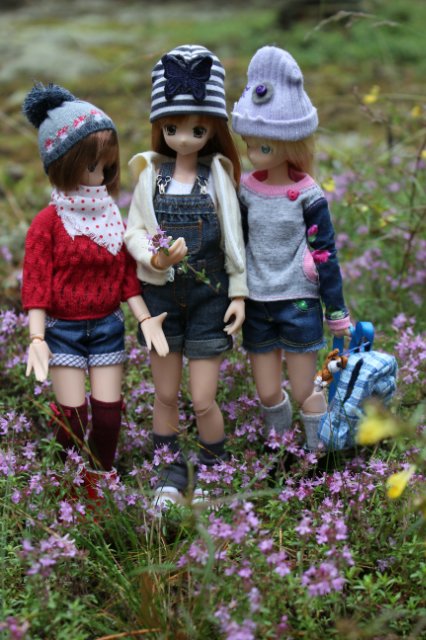 Японские девочки azone pure neemo в русском лесу (фото 9)