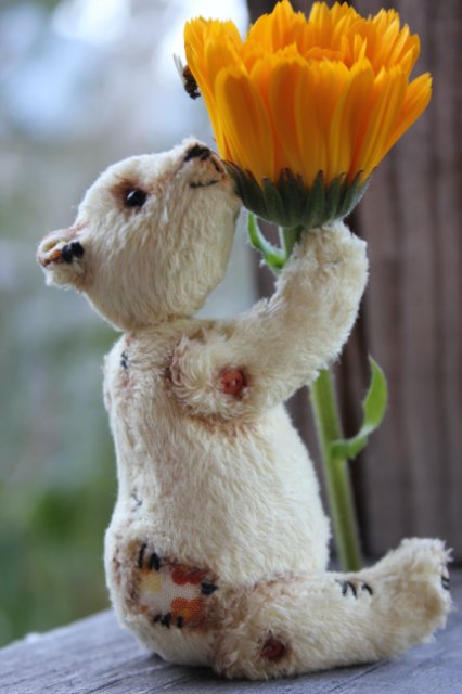 Летний карманный мишка тедди (фото 6)