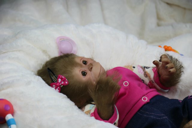 Мартышка - малышка... Куколка реборн Виктории Вишни