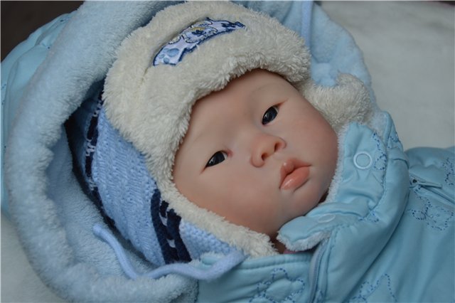 Подарок с севера. Добавлены новые фотографии (фото 2)