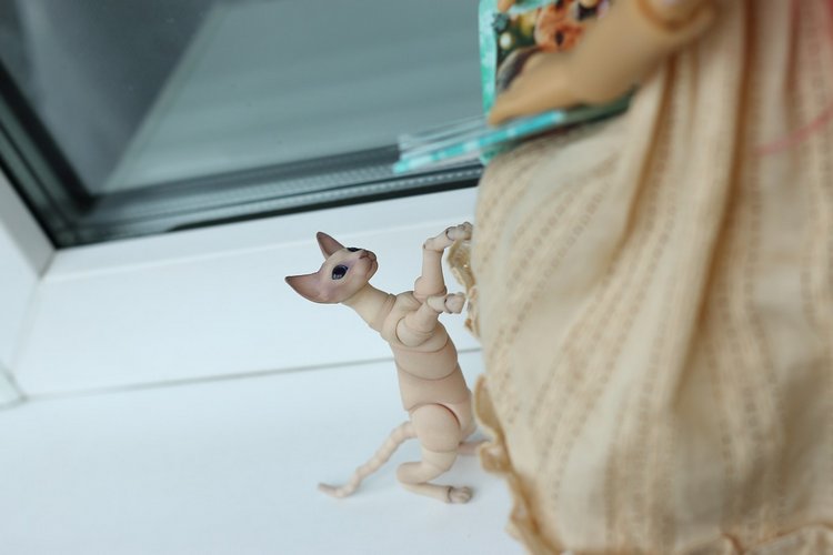 Жизнерадостный Кот и мечтательная Лайла (фото 2)