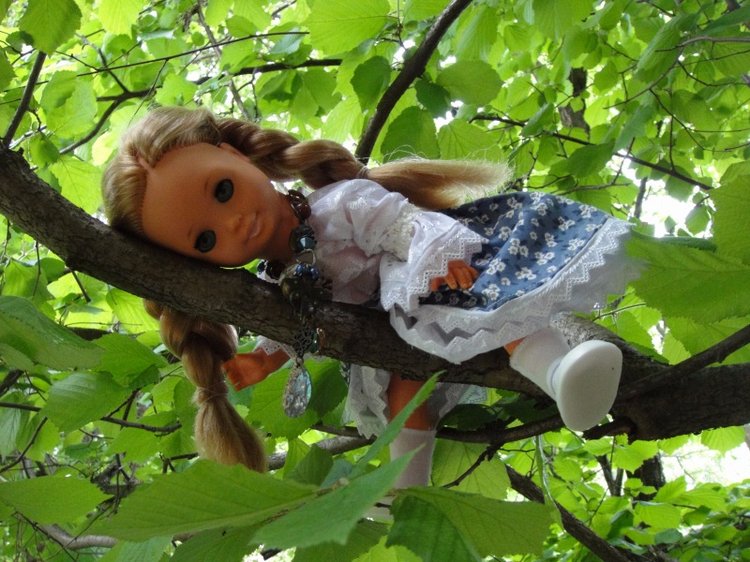 Как Шарлотта ездила на дачу