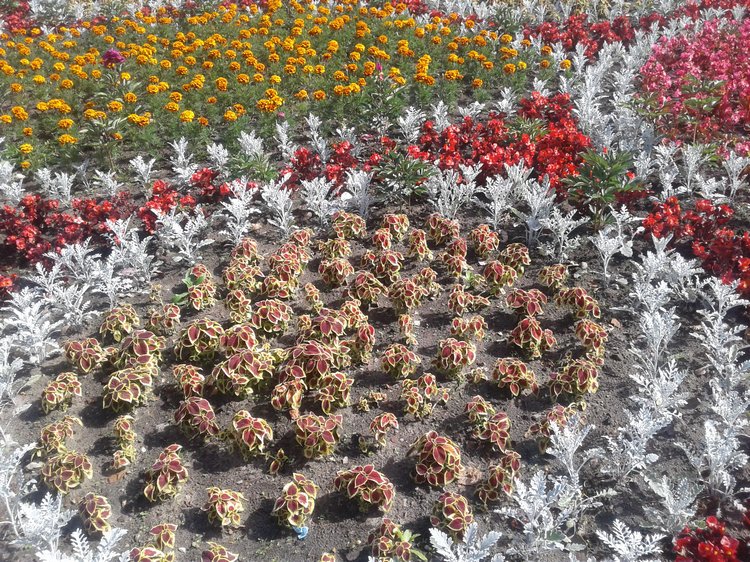 Псков: из лета в лето. Прогулки по городу и куклы