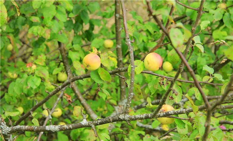 Тверской Водопад — Туризм и путешествия: фотоотчеты из поездок