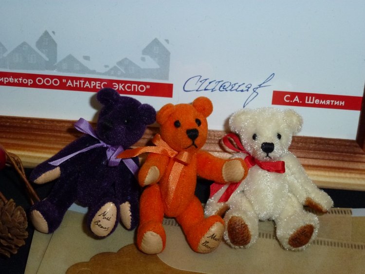 Путешествие с моим мишкой на Выставку "Hello Teddy" на Тишинке 2017