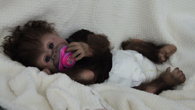 Карамелька кукла-реборн Элины Кудрявцевой