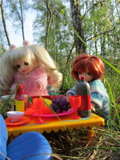 Весенний день... или как девочки ходили на пикник.№2 (фото 6)