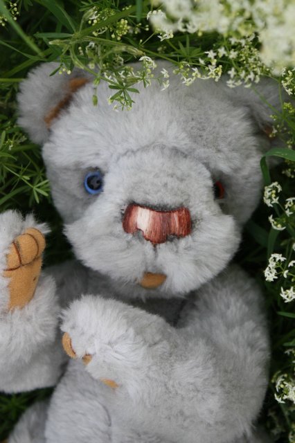 Киана, Шанталь Gotz и их новый друг Мирли