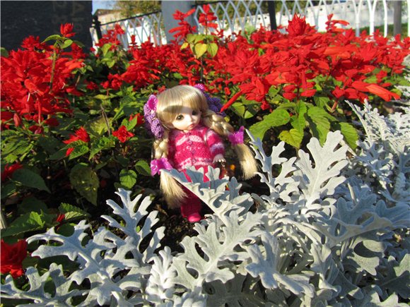 Утренняя прогулка по Волжской Набережной | Бэйбики Утренняя прогулка по Волжской Набережной (фото 6)