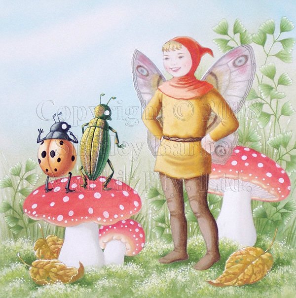 Мир эльфов и фей от Ширли Барбер (SHIRLEY BARBER)