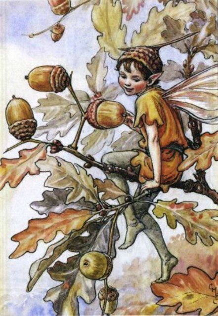Долгая жизнь цветочных фей от иллюстраций Cicely Mary Barker до кукол Birgitte Frigast