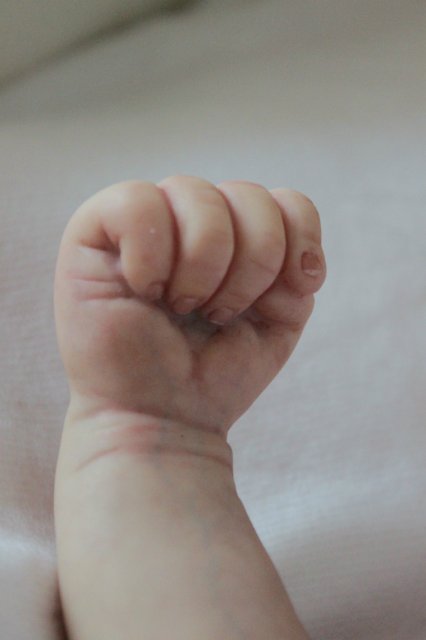 Мальчик одуванчик... Куколка реборн Вишни Виктории (фото 6)