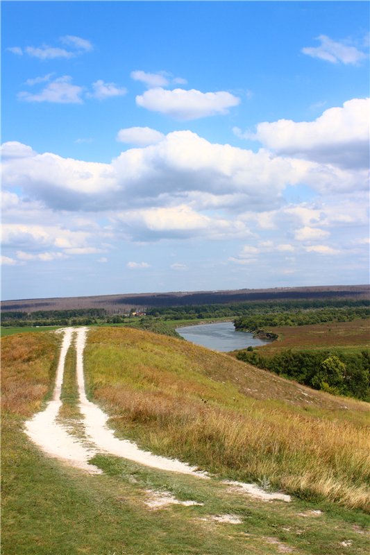 Первая прогулка Тилли в России. Tillie, Kaye Wiggs