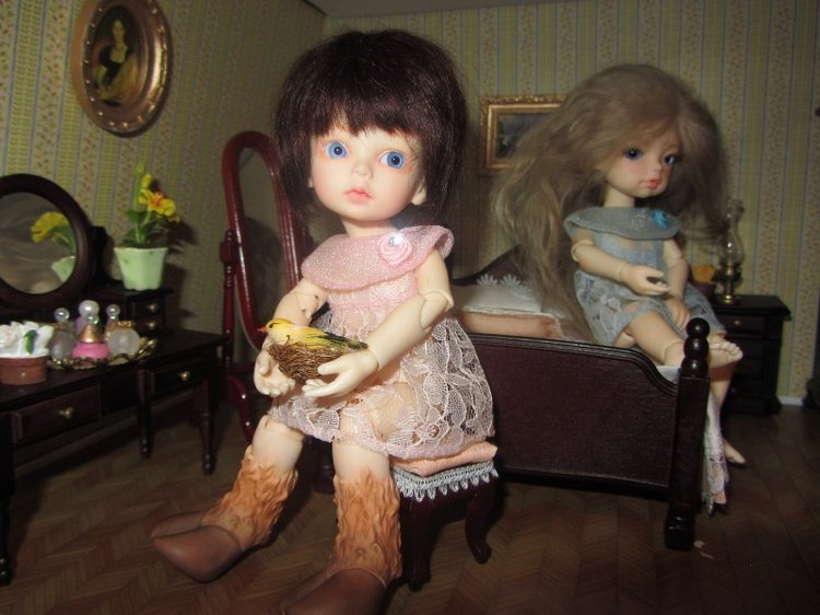 Две сестренки от DollZone-Deer и Dongdong (фото 8)