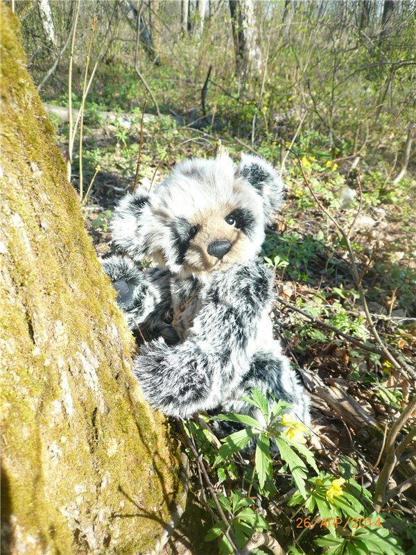 Про Мишку. Коллекционный Мишка Панда от Charlie Bears (фото 3)