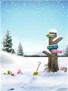 Закрыто. Совместная закупка фонов для фотографирования кукол (фото 9)