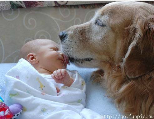 Кому нужна нянька — Болталка и разговоры обо всем: жизнь