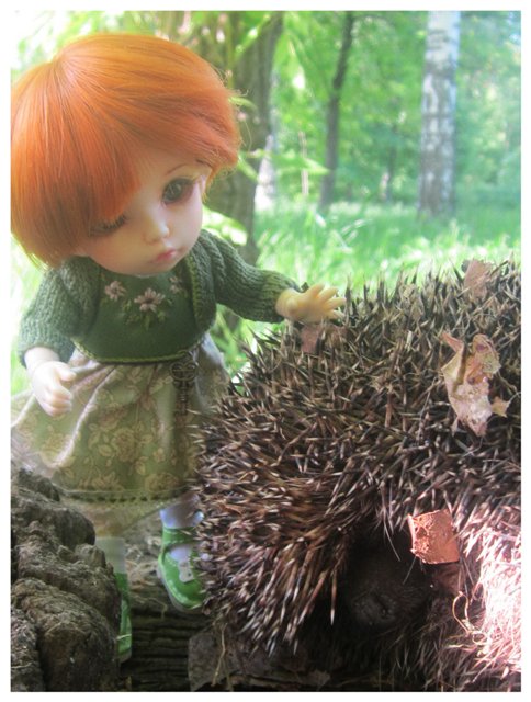 Люська(год со мной) — Одежда и обувь для кукол BJD (БЖД): 1/3