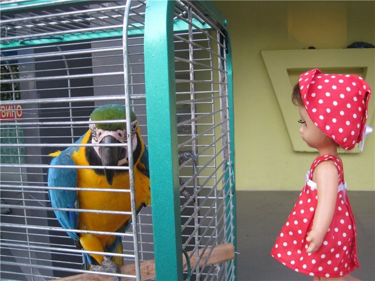 Галчонок и лето. Винтажна куколка СССР Галя