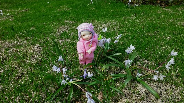 Дрюшка-путешественник! Весенние каникулы Финляндия, май