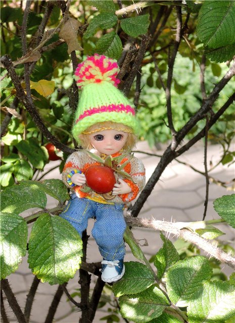 Дилька ищет дом (часть первая) (фото 4)