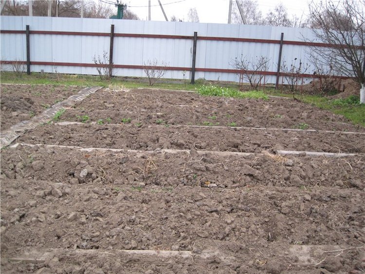 Кирюша. Игровой испанский малышок, фирма Arias