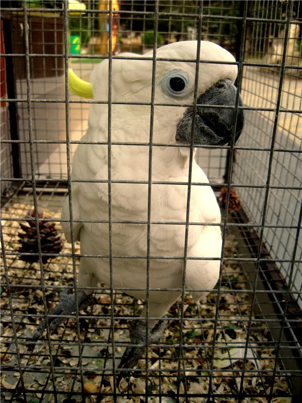 Лето. Солнце. Море. Всё смешалось - звери, куклы. Часть2 | Бэйбики Лето. Солнце. Море. Всё смешалось - звери, куклы. Часть2