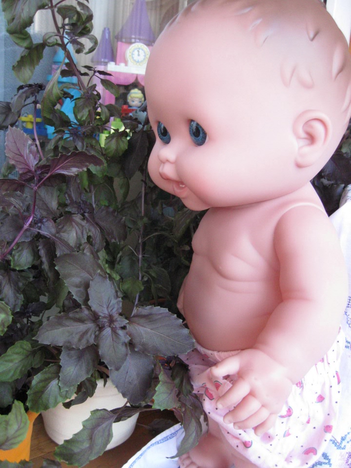 Глазастик и другие куколки