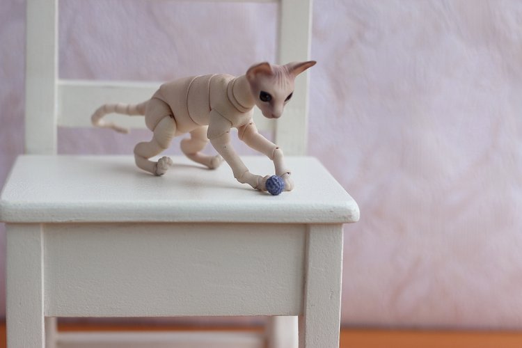 Кот играет с мячиком — Разные куклы BJD (БЖД): редкие бренды