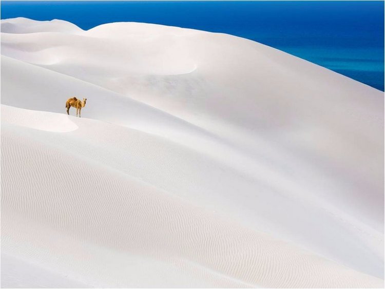 Лучшие фото National Geographic (фото 7)