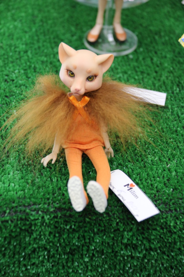 Фото (охота) на тишинских лис. Весенний бал кукол 2017