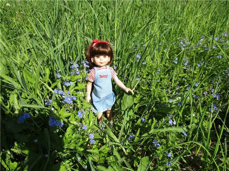 Бетси Robert Tonner. С красным бантом по зеленому лугу