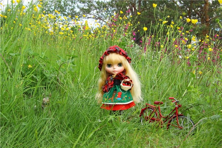 Путешествие в Сказку — Оригинальные куклы Blythe (Блайз): Takara