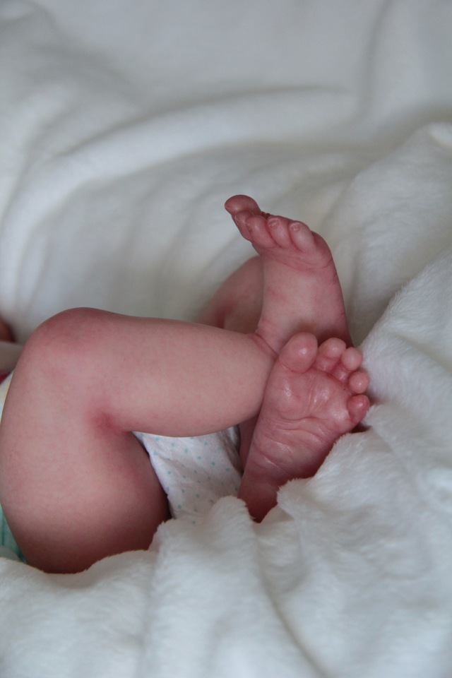 Indie by L.L.E. Кукла реборн Саутер Антонины