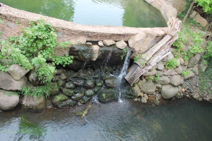 По Германии: зоопарк Лейпцига, часть 1