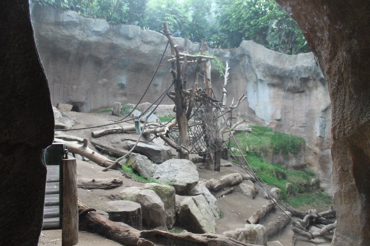 По Германии: зоопарк Лейпцига, часть 3