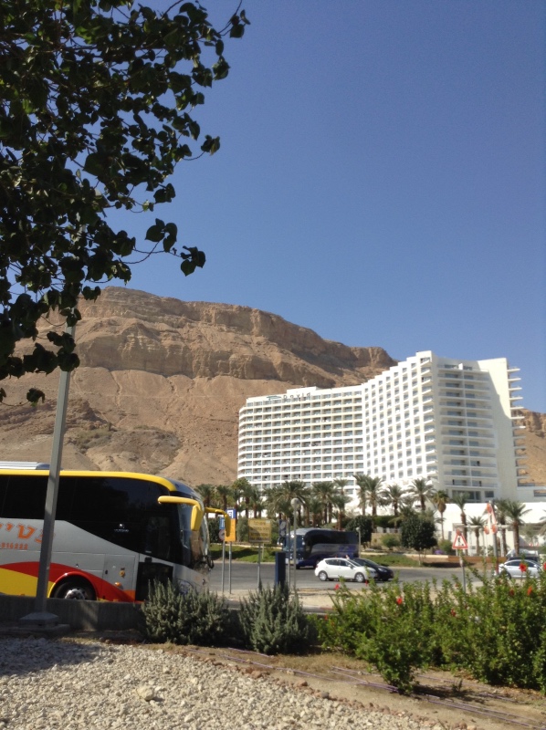 Белое солнце пустыни. Ч.2. Восточное, Соленое, Мертвое море- легенда (фото 3)