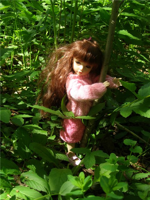 Воскресная прогулка (заключительная часть) (фото 8)