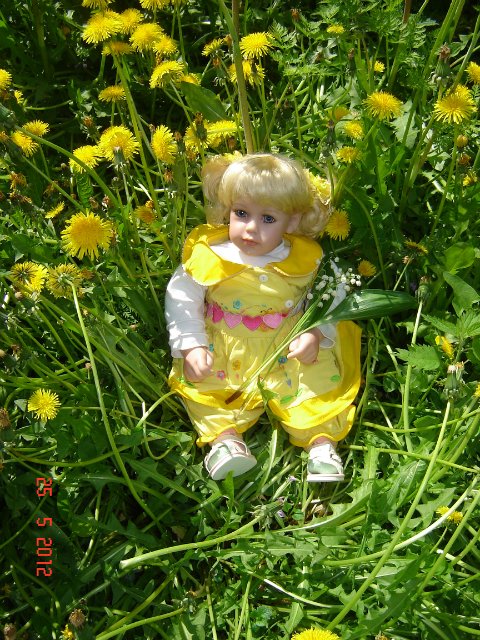 Солнечный лучик заглянул в мой сад (фото 2)