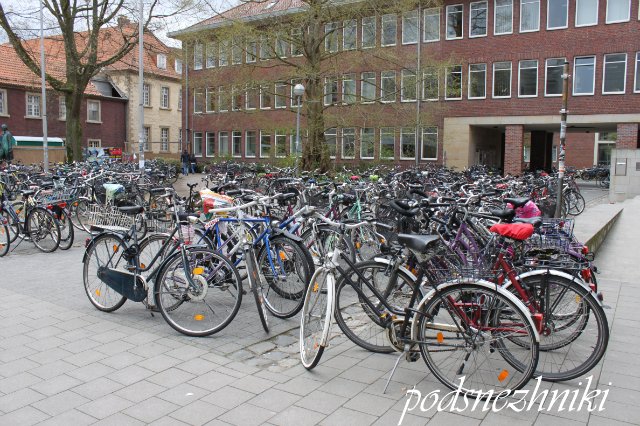 Выставка TeddyBar Total 2012 в Мюнстере: возрожденная из небытия