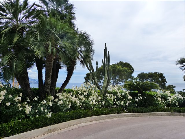 Мои фотозарисовки Лазурного берега Франции