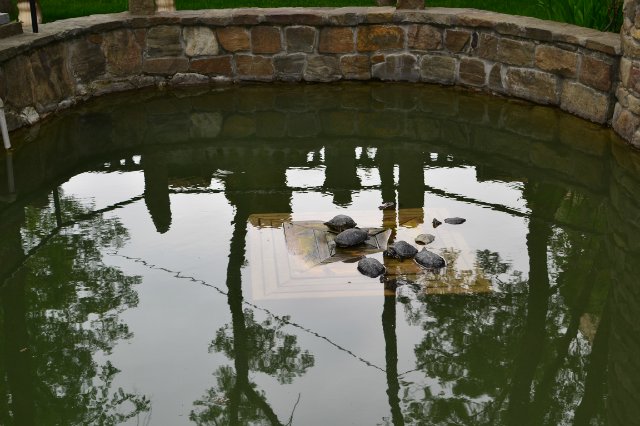 Старый парк — Туризм и путешествия: фотоотчеты из поездок