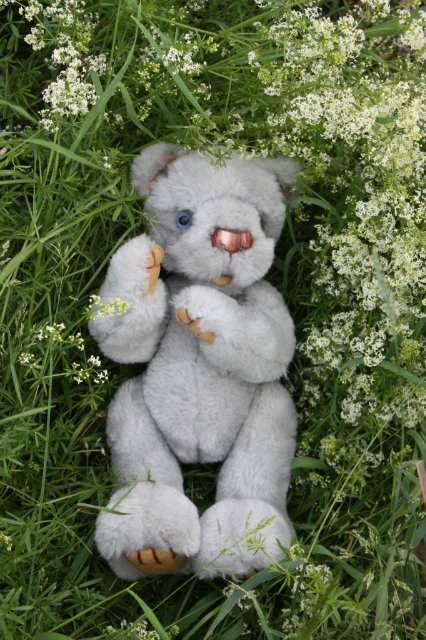 Киана, Шанталь Gotz и их новый друг Мирли