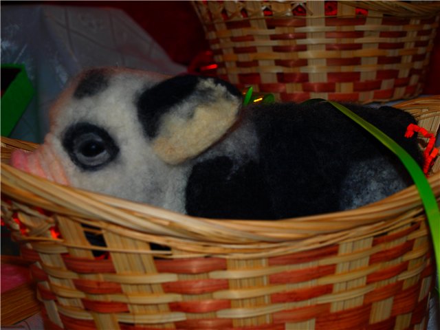 Выставка кукол в Санкт Петербурге | Бэйбики Выставка кукол в Санкт Петербурге