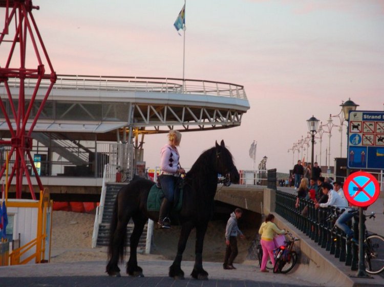 Путешествие по Схевенингену (Scheveningen, Holland)