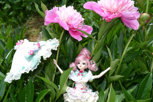 Девушка-пион: джеечка La Rue de Rivoli (J-doll) (фото 6)