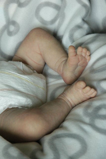 Жульенчик... Малыш реборн Виктории Вишни (фото 6)